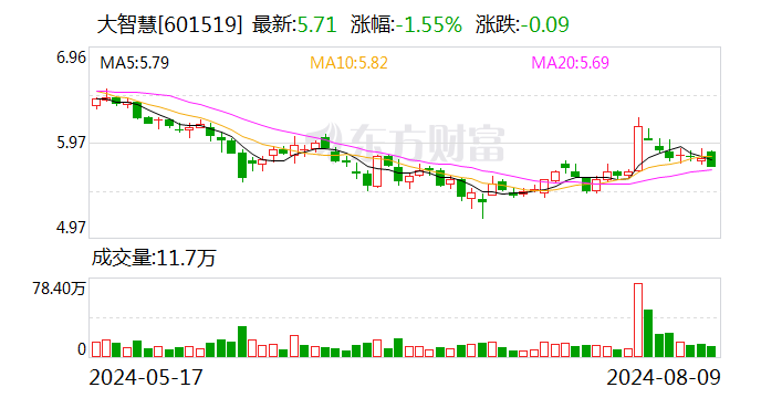 大智慧：2024年上半年净亏损1.38亿元