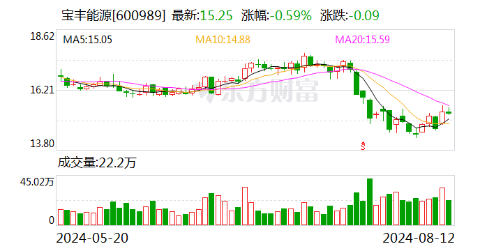 宝丰能源：高质量发展迈向新台阶 上半年营收同比增长29.09%